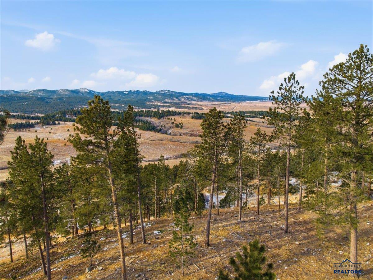 Lot 9 THREE PEAKS PASS RD