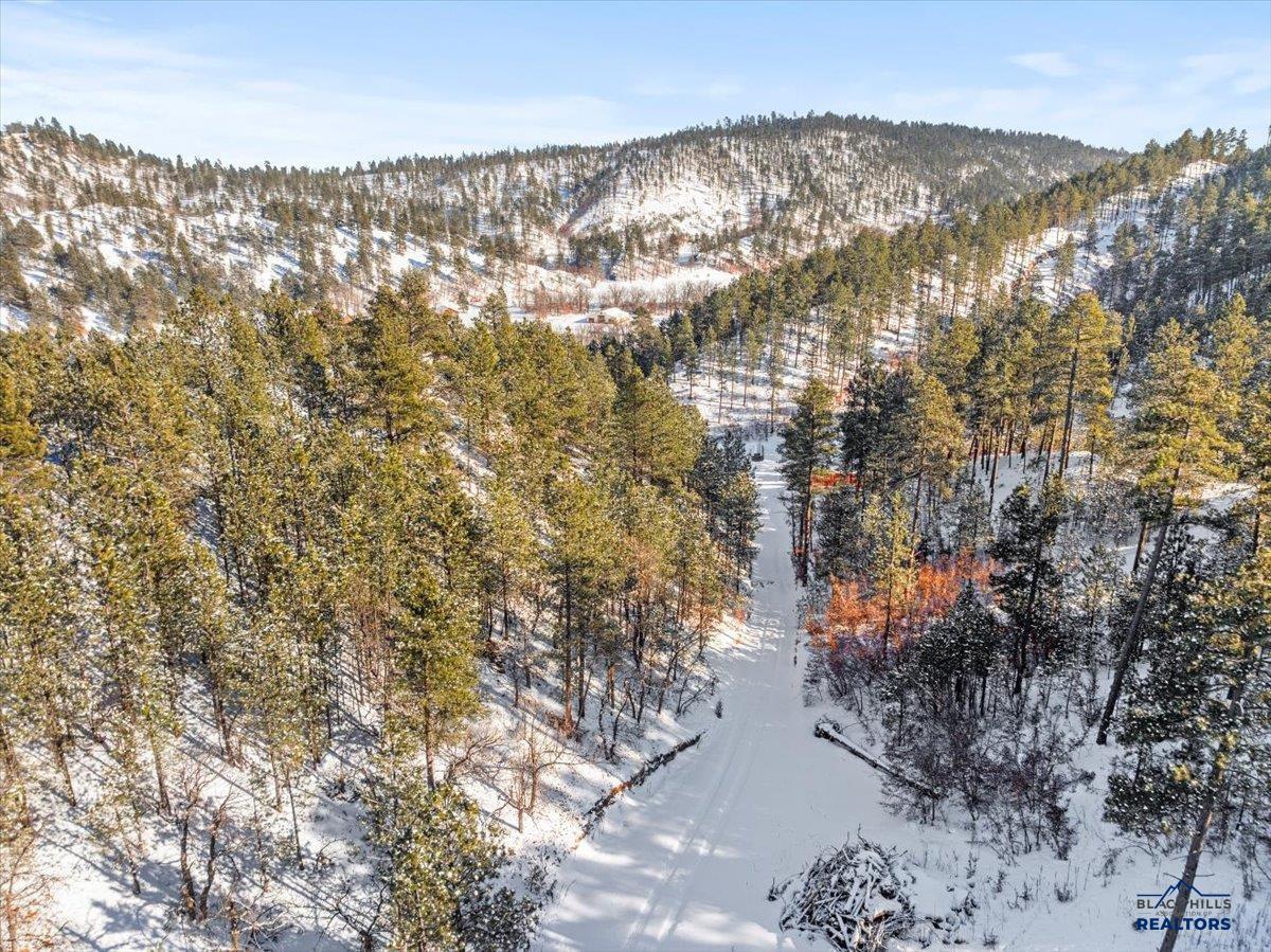 38.6 +/- Acres CROOK MOUNTAIN RD