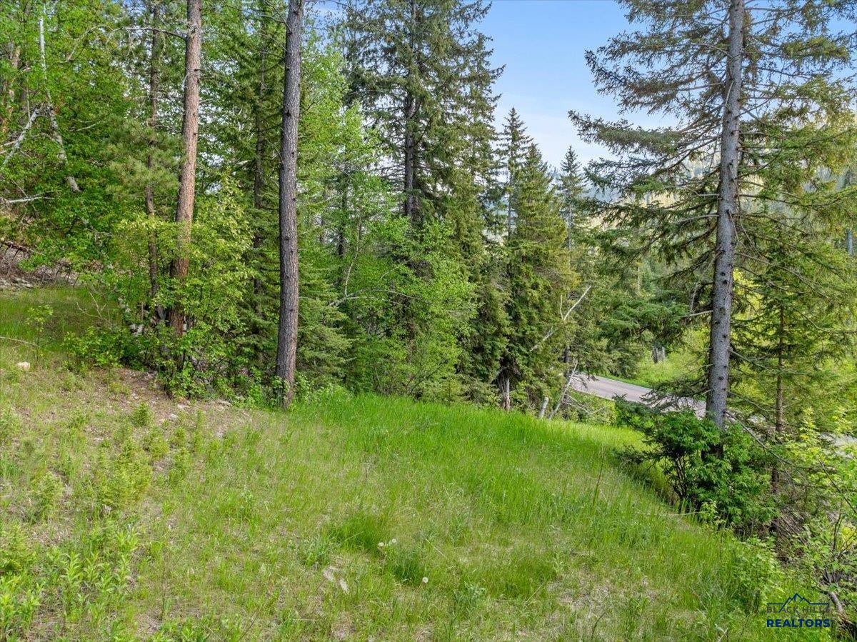 M.S. 1742 Lot 2 HWY 14A