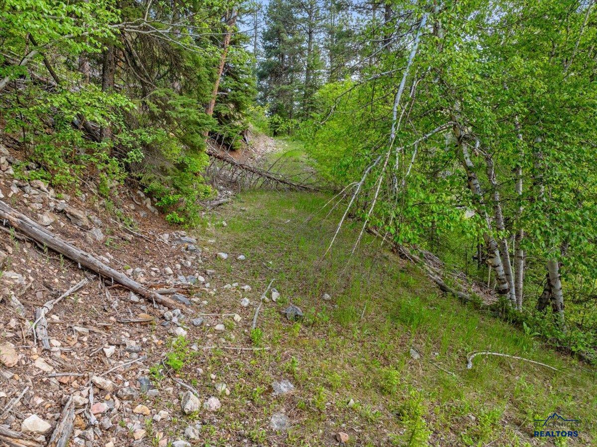 M.S. 1742 Lot 2 HWY 14A