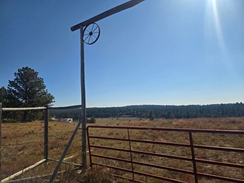 11815 W ARGYLE RD Custer SD 57730