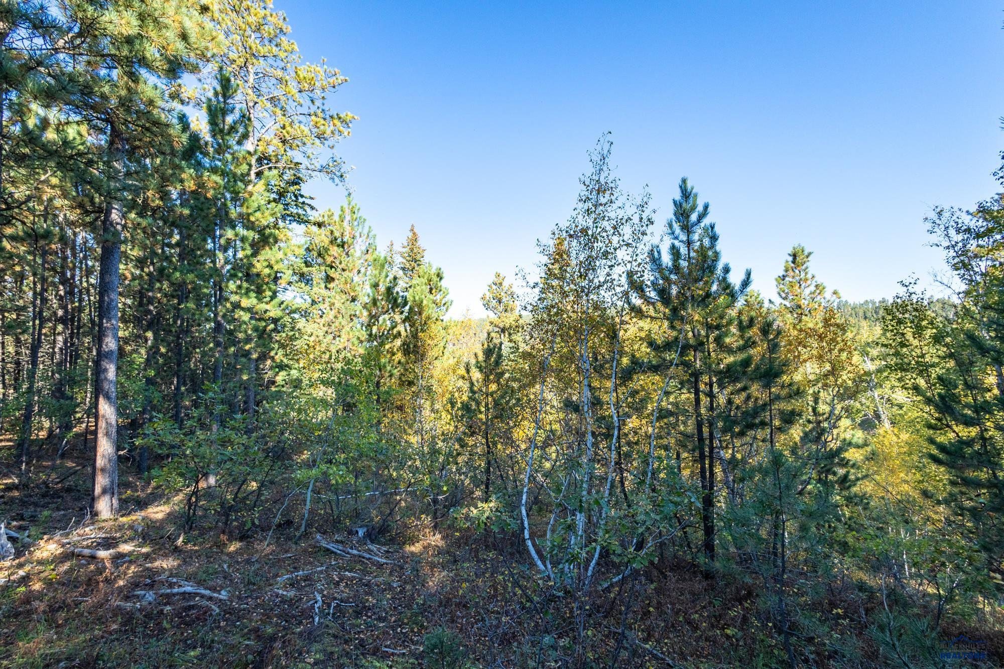 Lot 17 DYNASTY RD