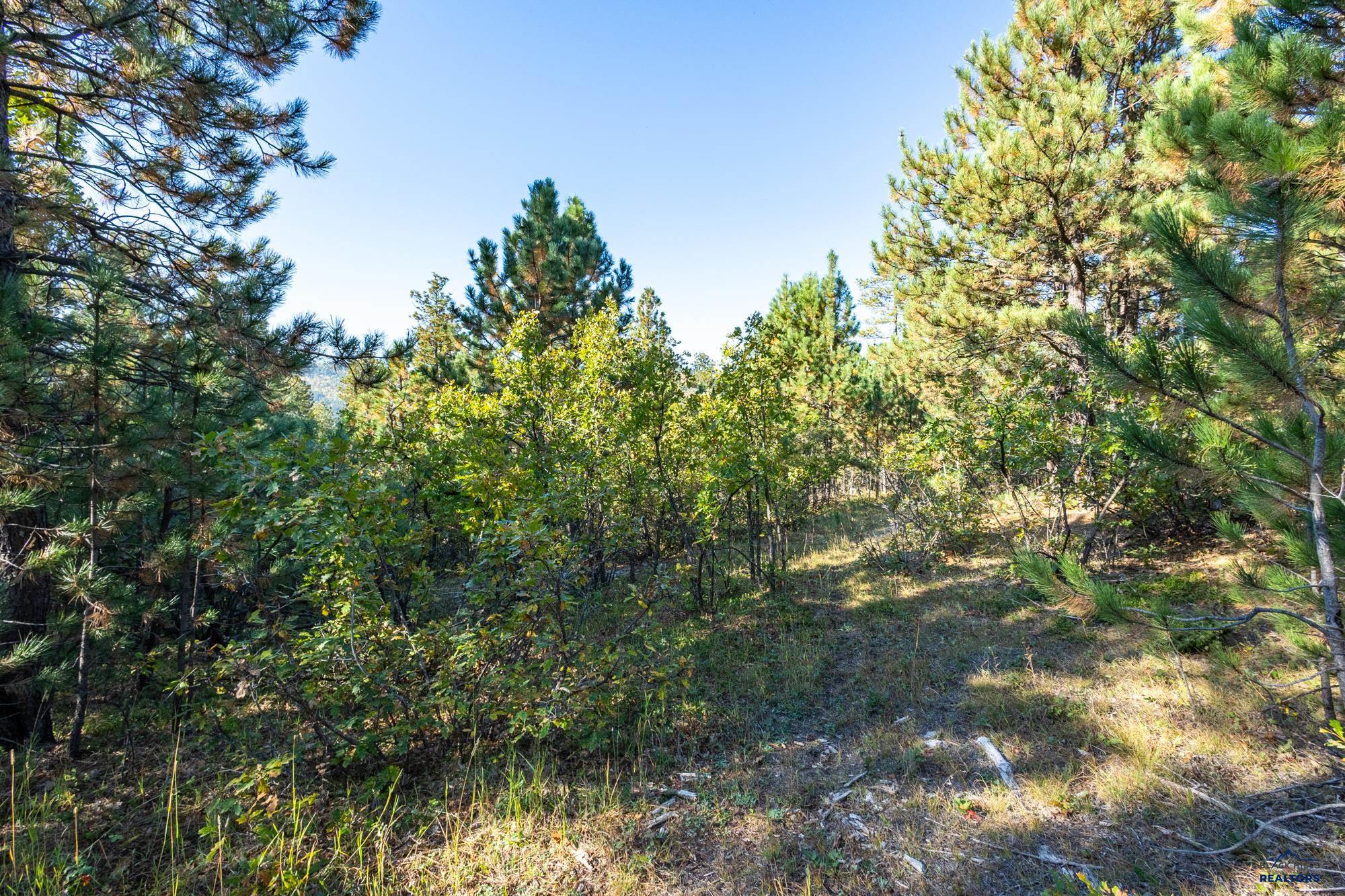 Lot 17 DYNASTY RD