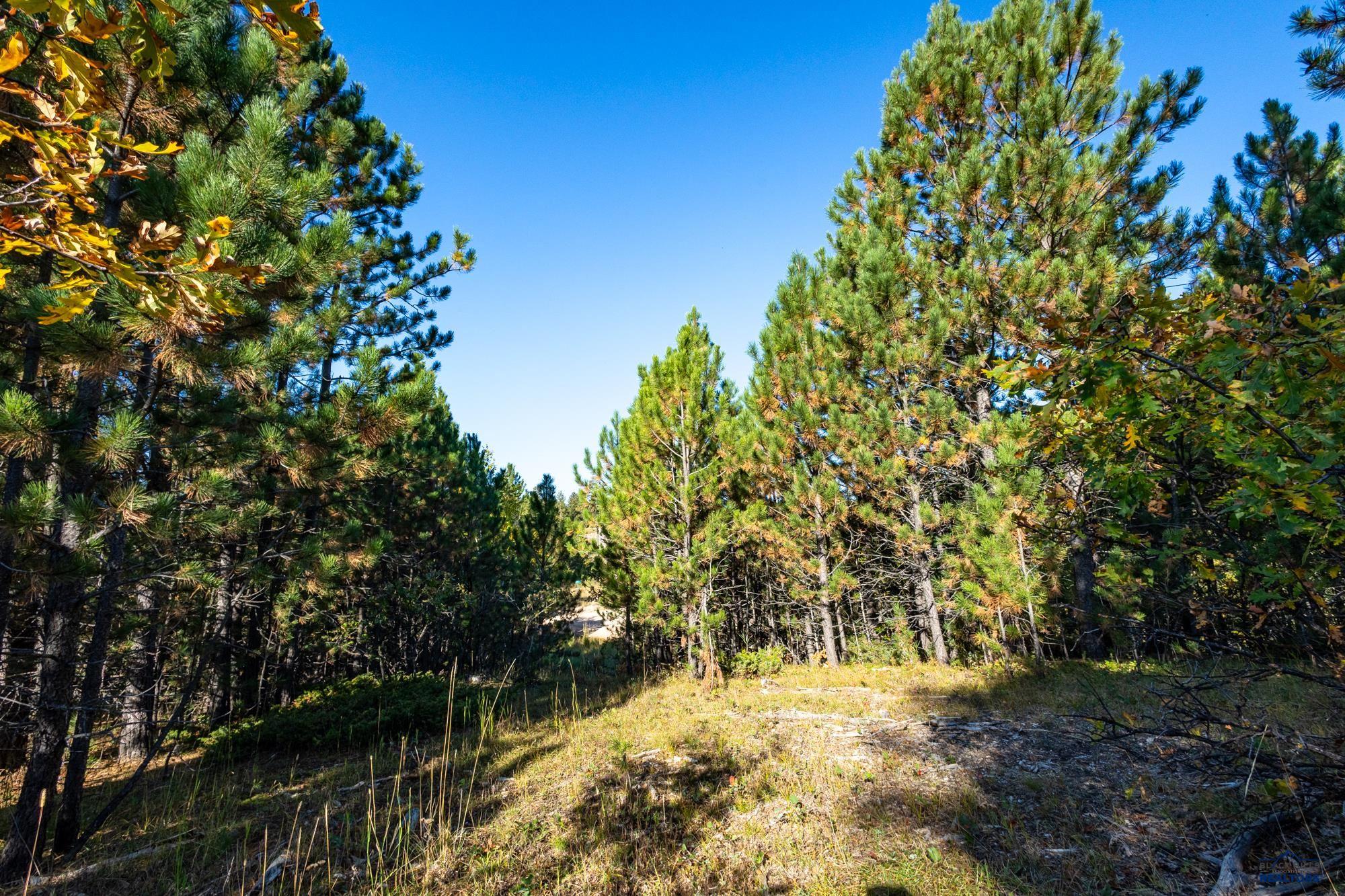 Lot 17 DYNASTY RD