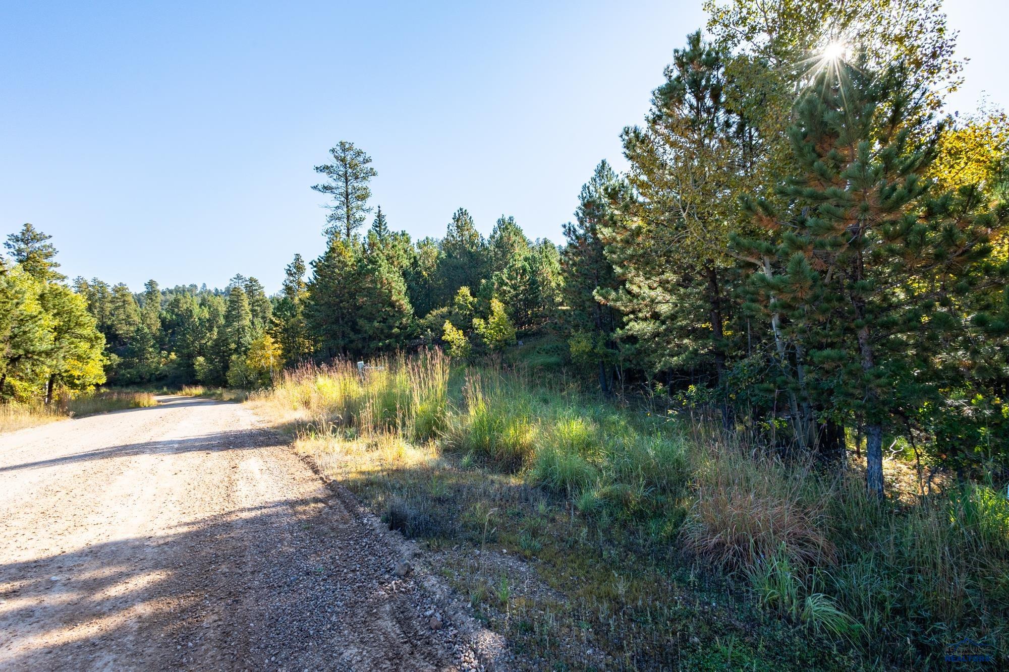 Lot 17 DYNASTY RD