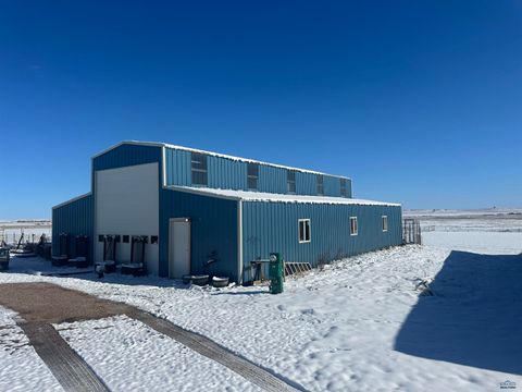 22028 WITTY COURT Piedmont SD 57769