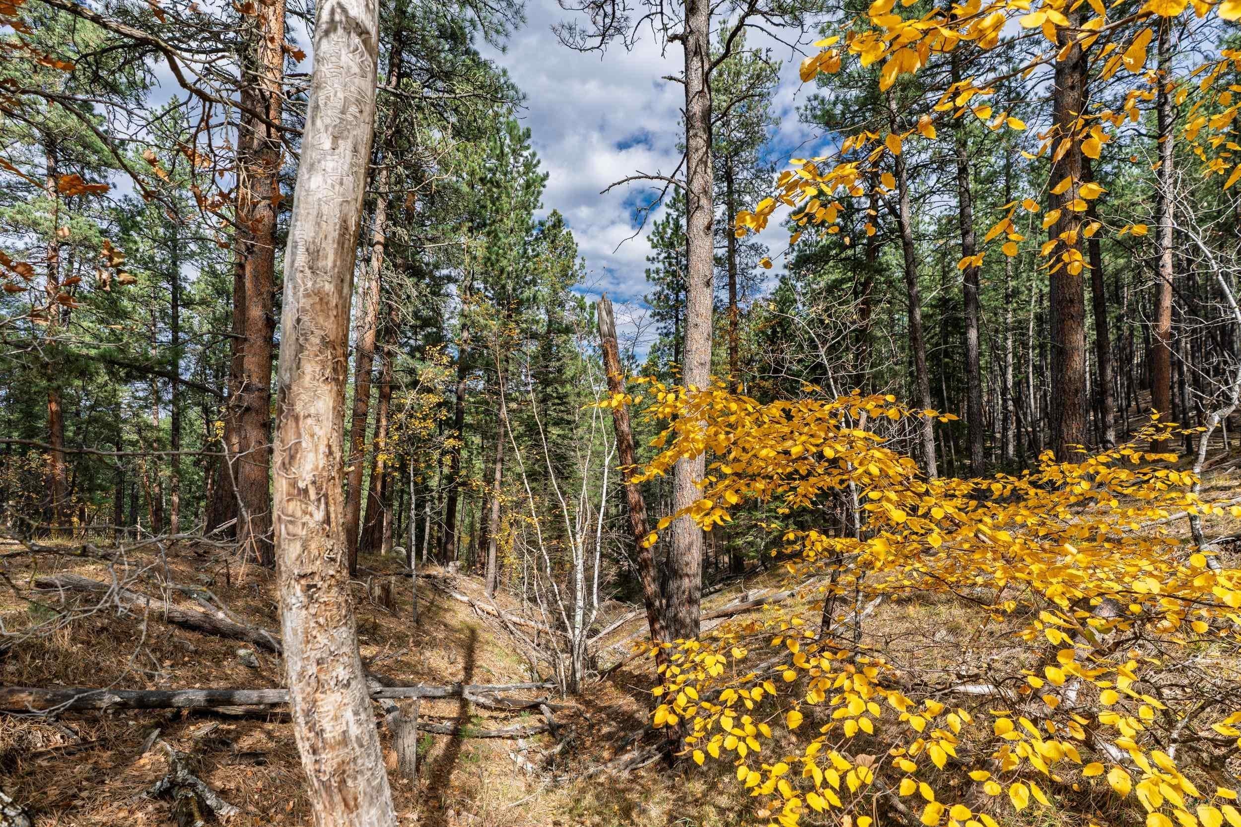 TBD ECHO VALLEY RD