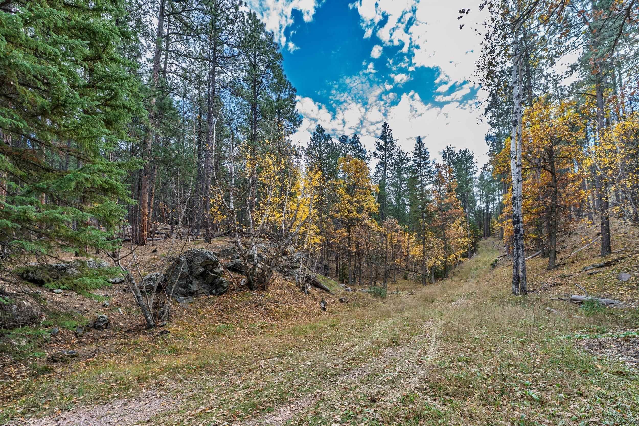 TBD ECHO VALLEY RD