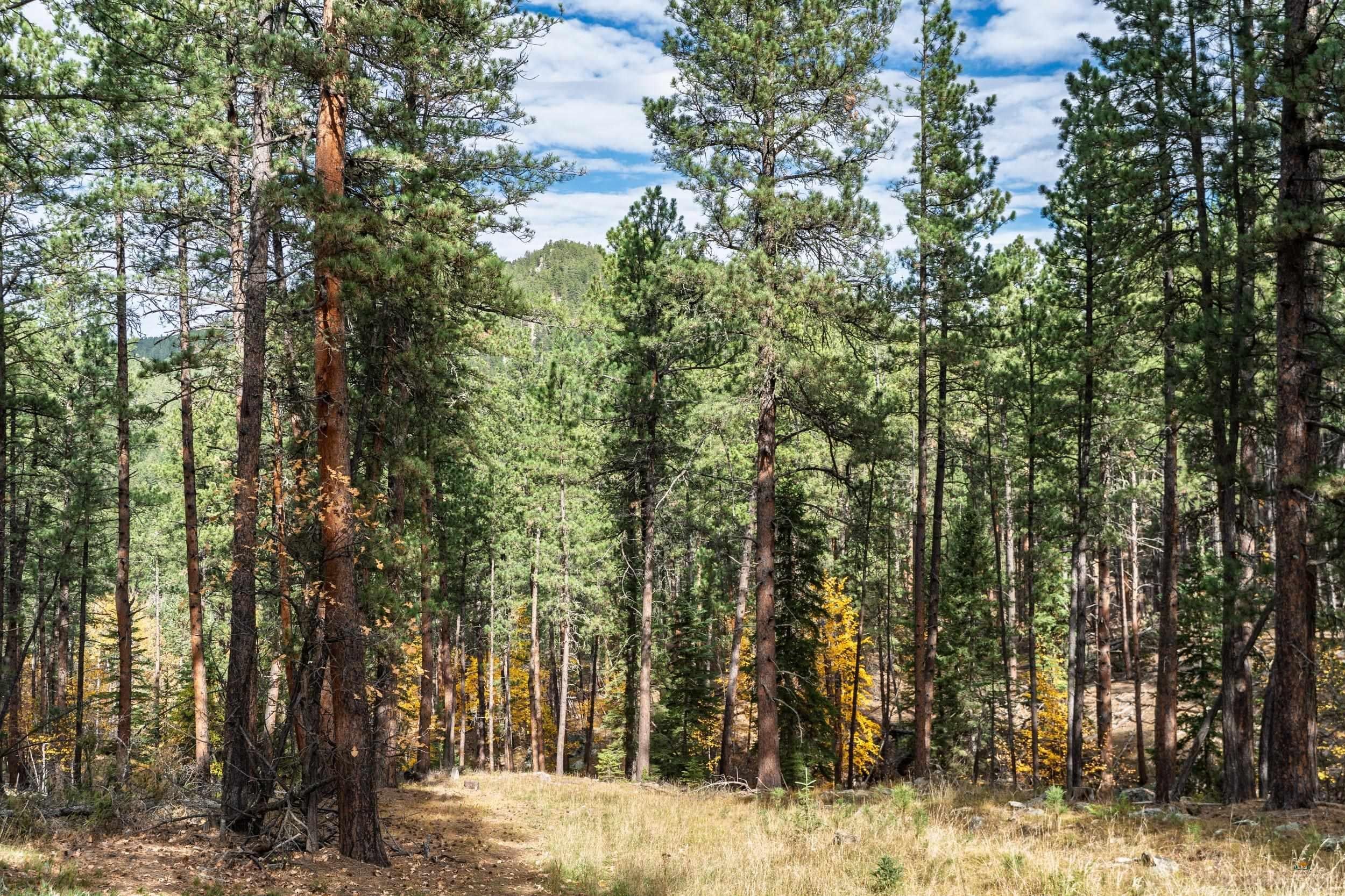 TBD ECHO VALLEY RD