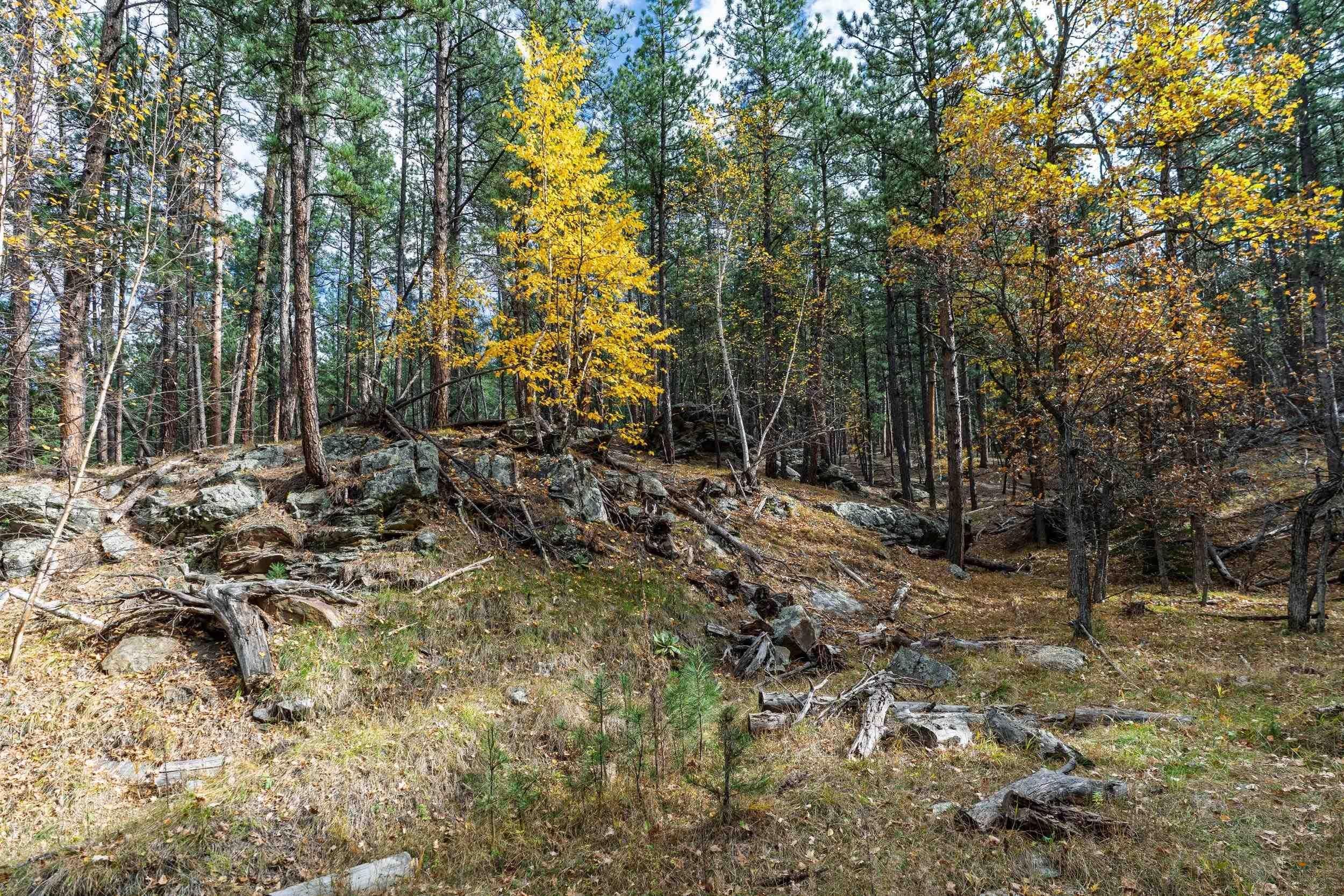 TBD ECHO VALLEY RD