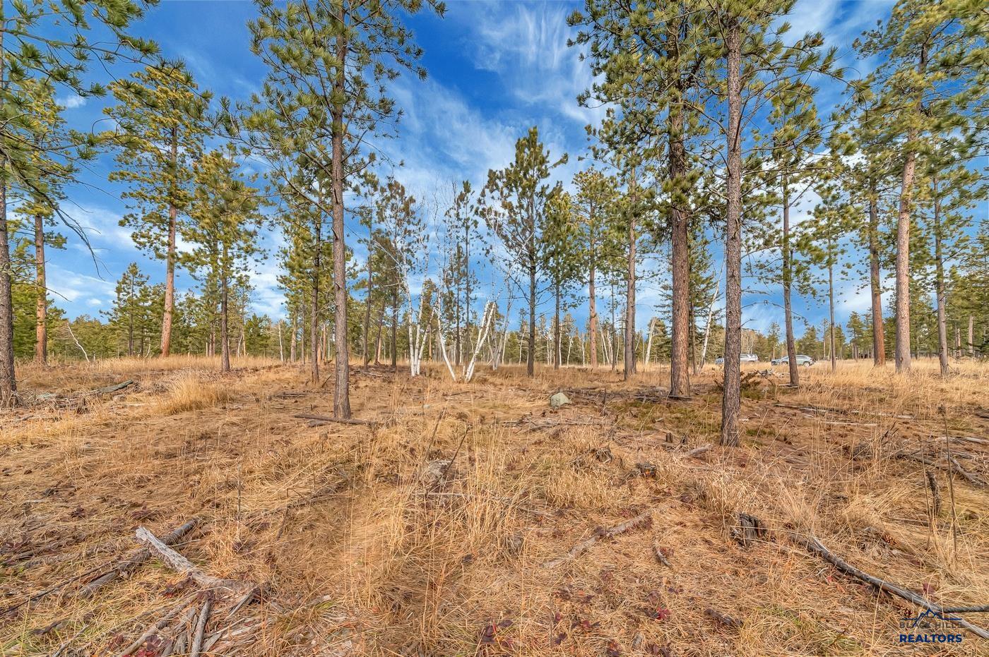 TBD LOFTY PINES CT - Photo 4