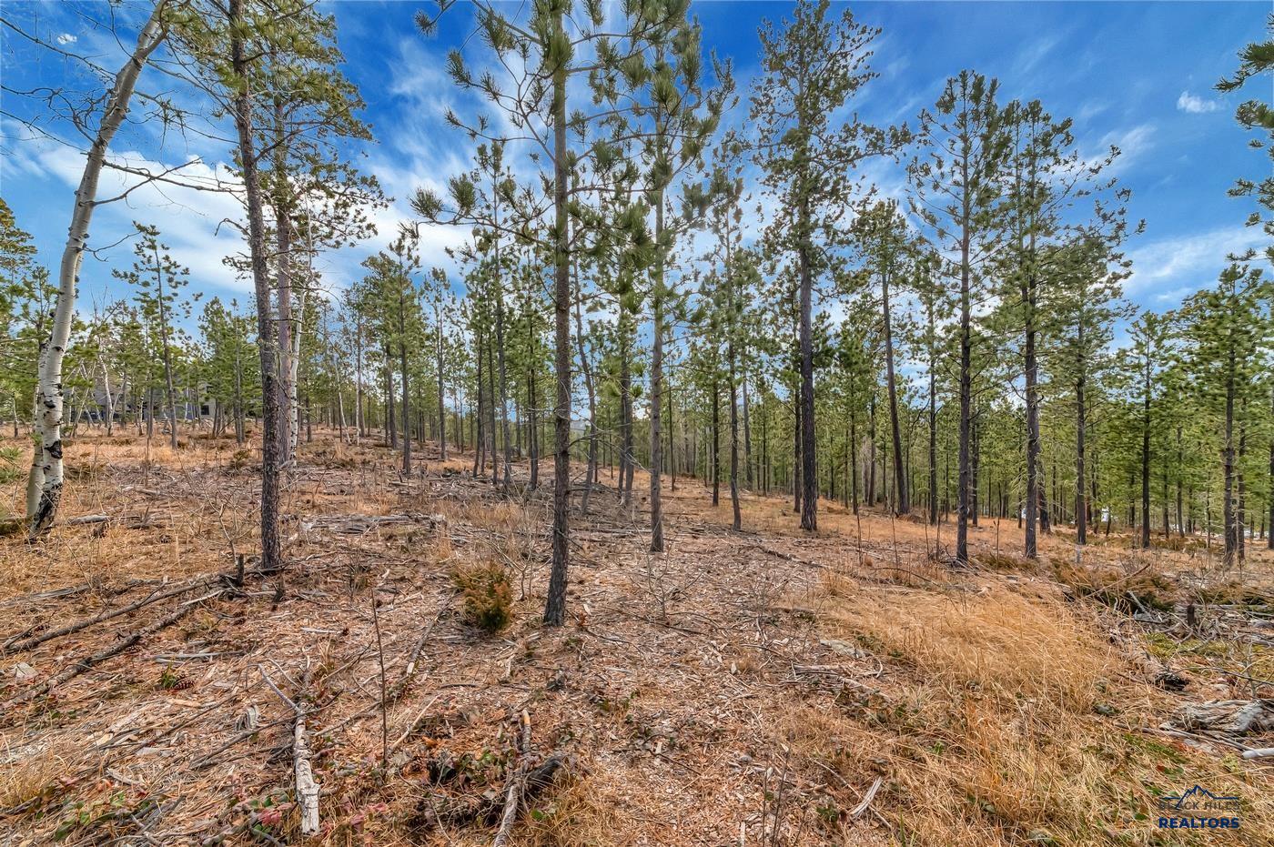 TBD LOFTY PINES CT - Photo 2