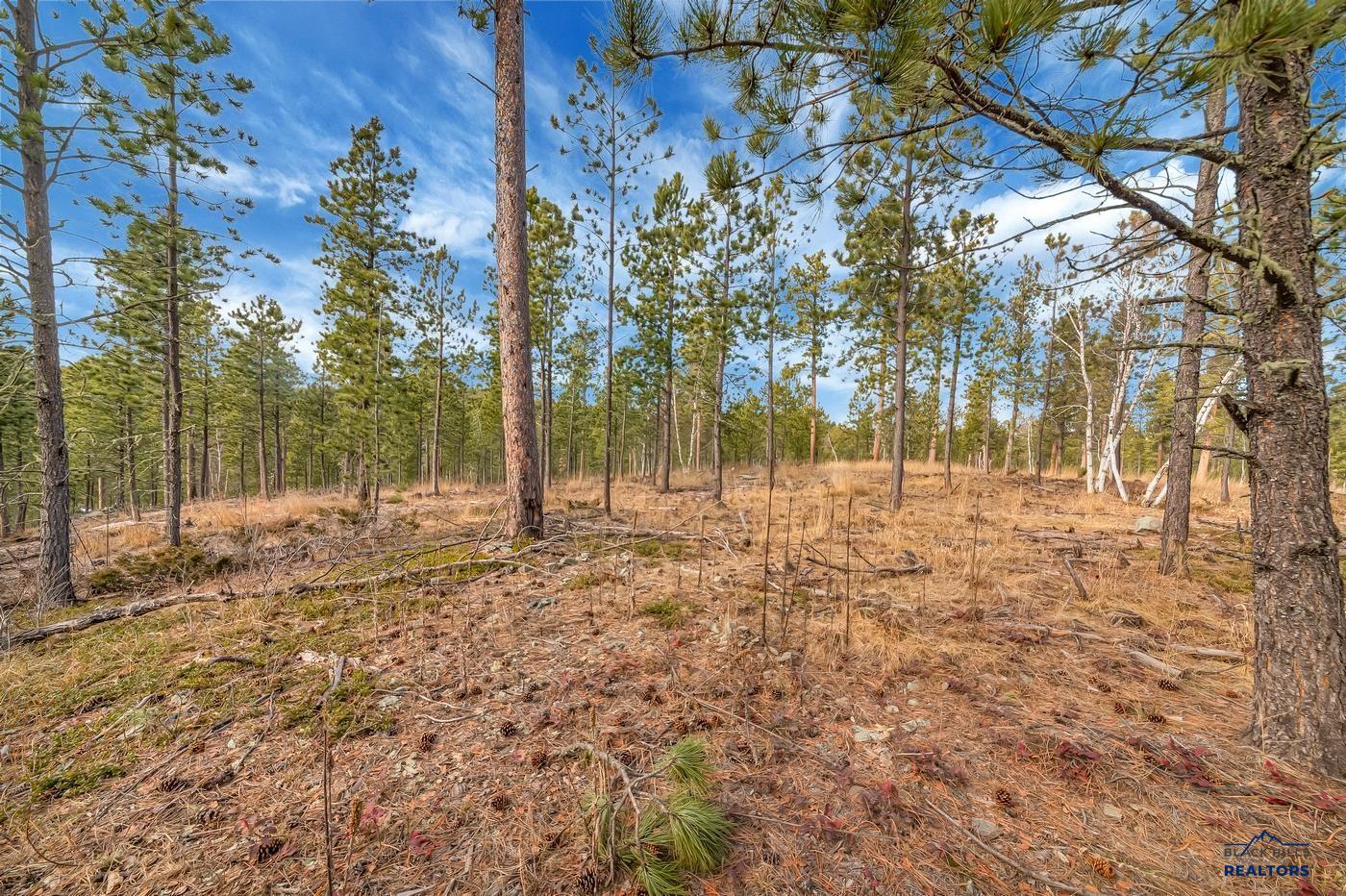 TBD LOFTY PINES CT - Photo 3