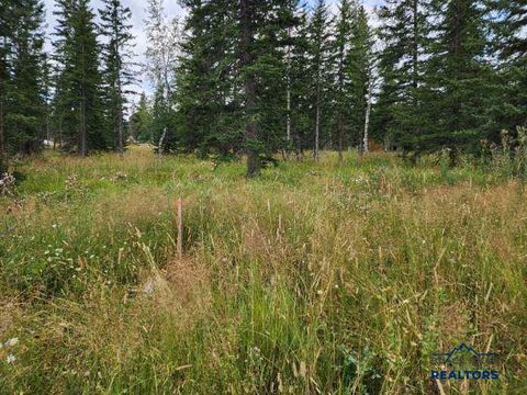 TBD OTHER LEAD SD 57754