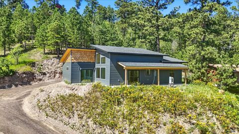 233 MOUNTAIN VIEW DR Lead SD 57754