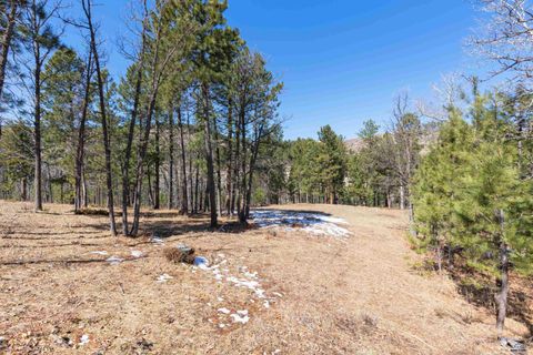 Lot 21A ELK VIEW LOOP Sturgis SD 57785