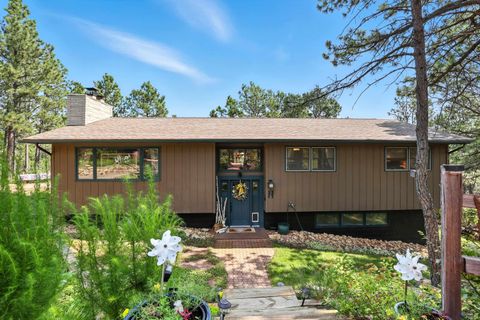 1123 WILDLIFE RD Rapid City SD 57702