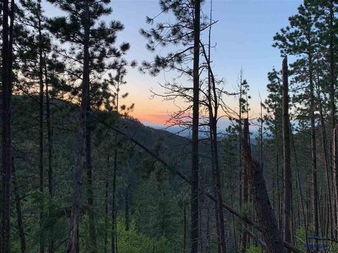 TBD OTHER Lead SD 57754