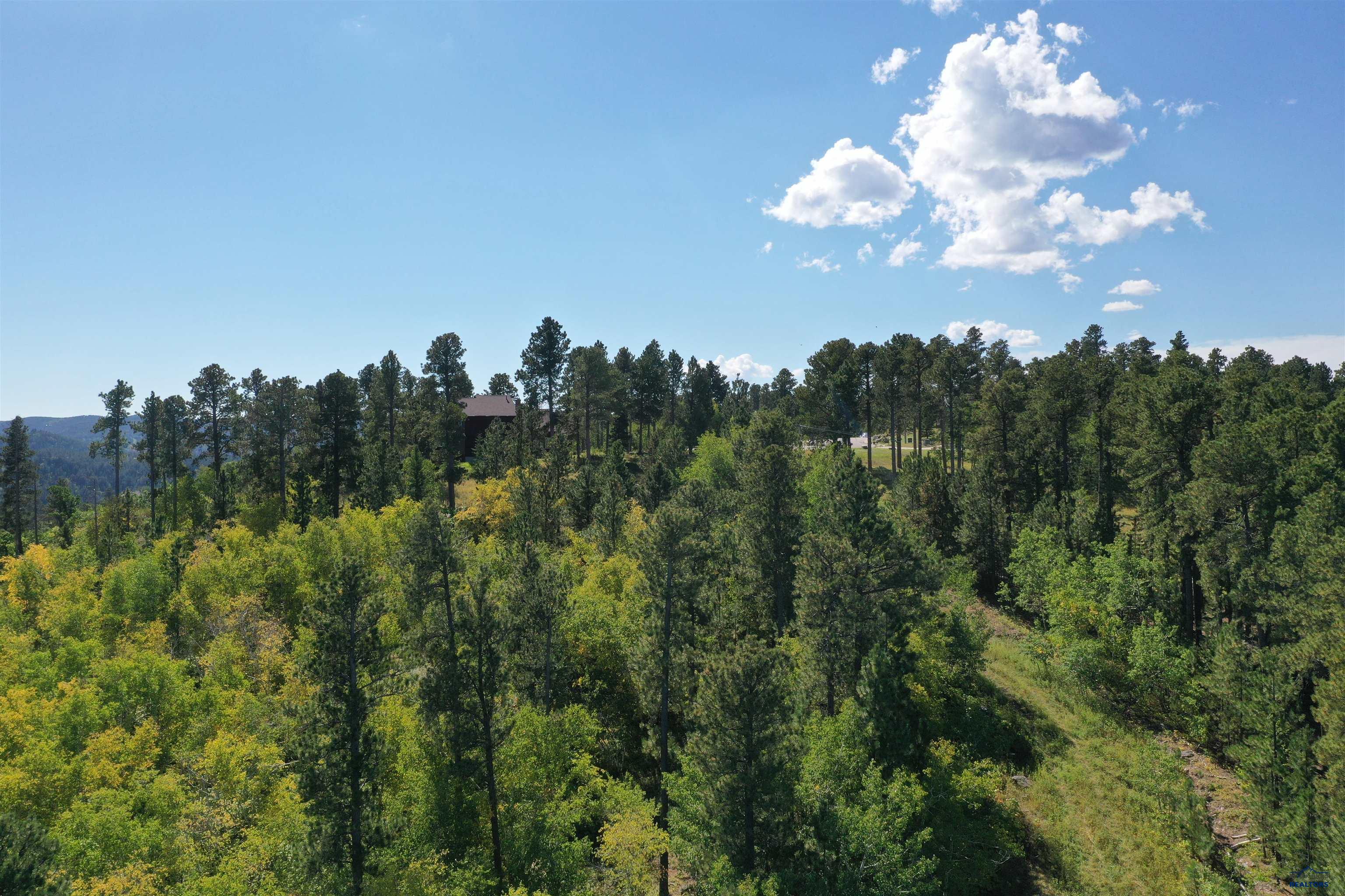 TBD MOUNTAIN VIEW DR