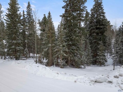 11019 ANTELOPE TR Lead SD 57754