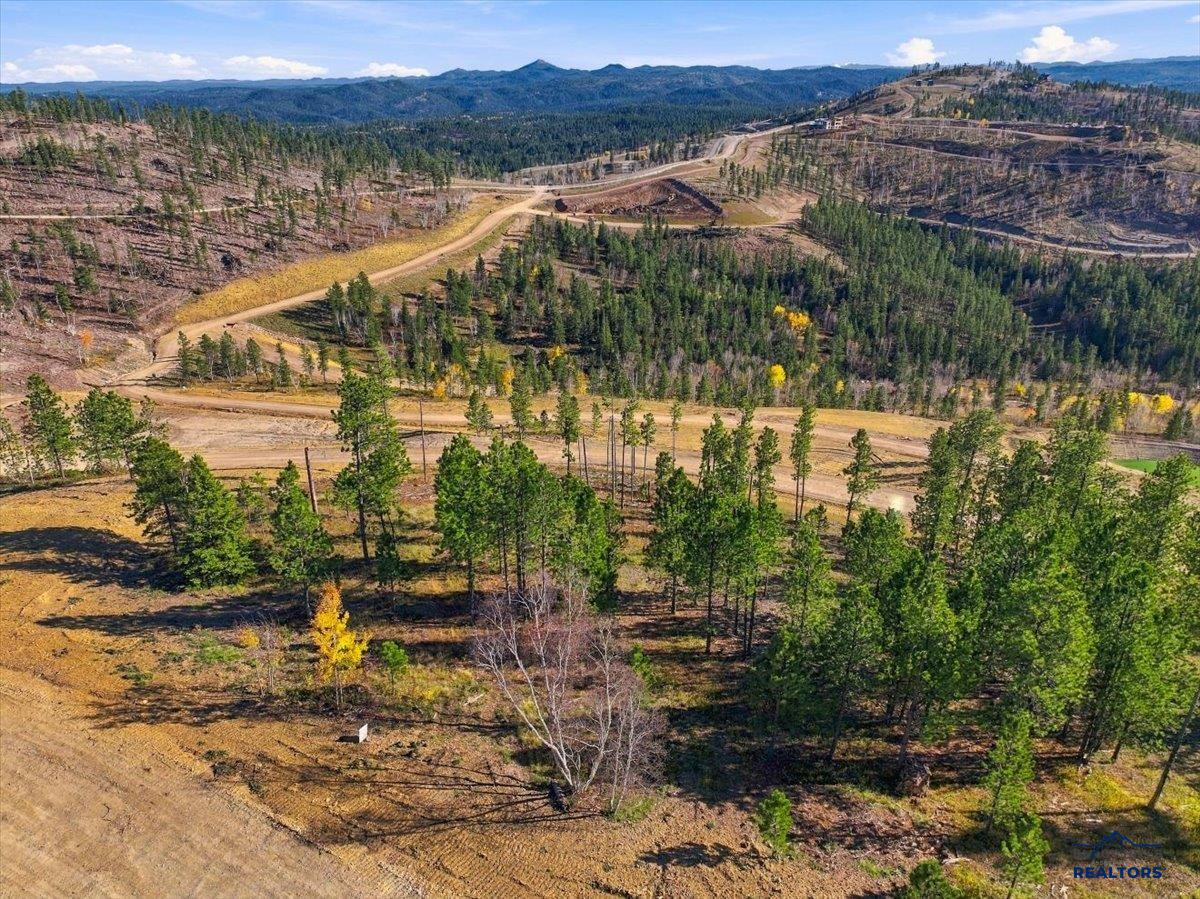 Lot 172 DEER MOUNTAIN