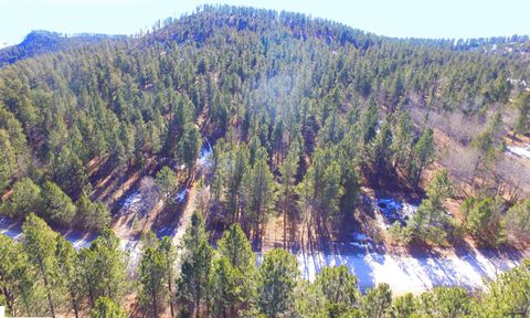 TBD ELLIOT RD custer SD 57730