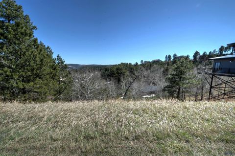 TBD MOUNTAIN VIEW DR Lead SD 57754