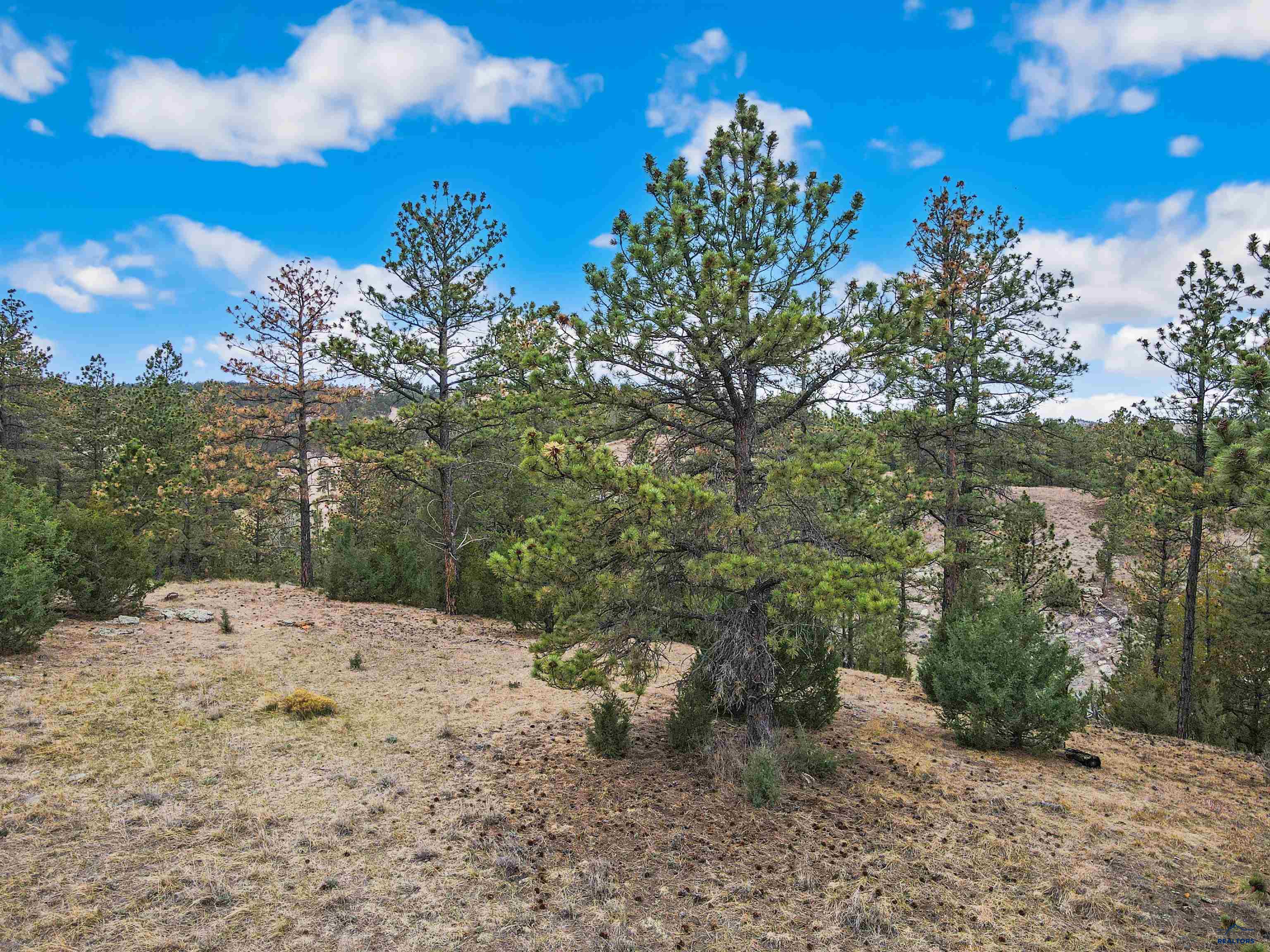 Lot 7 LAKE HILLS RD