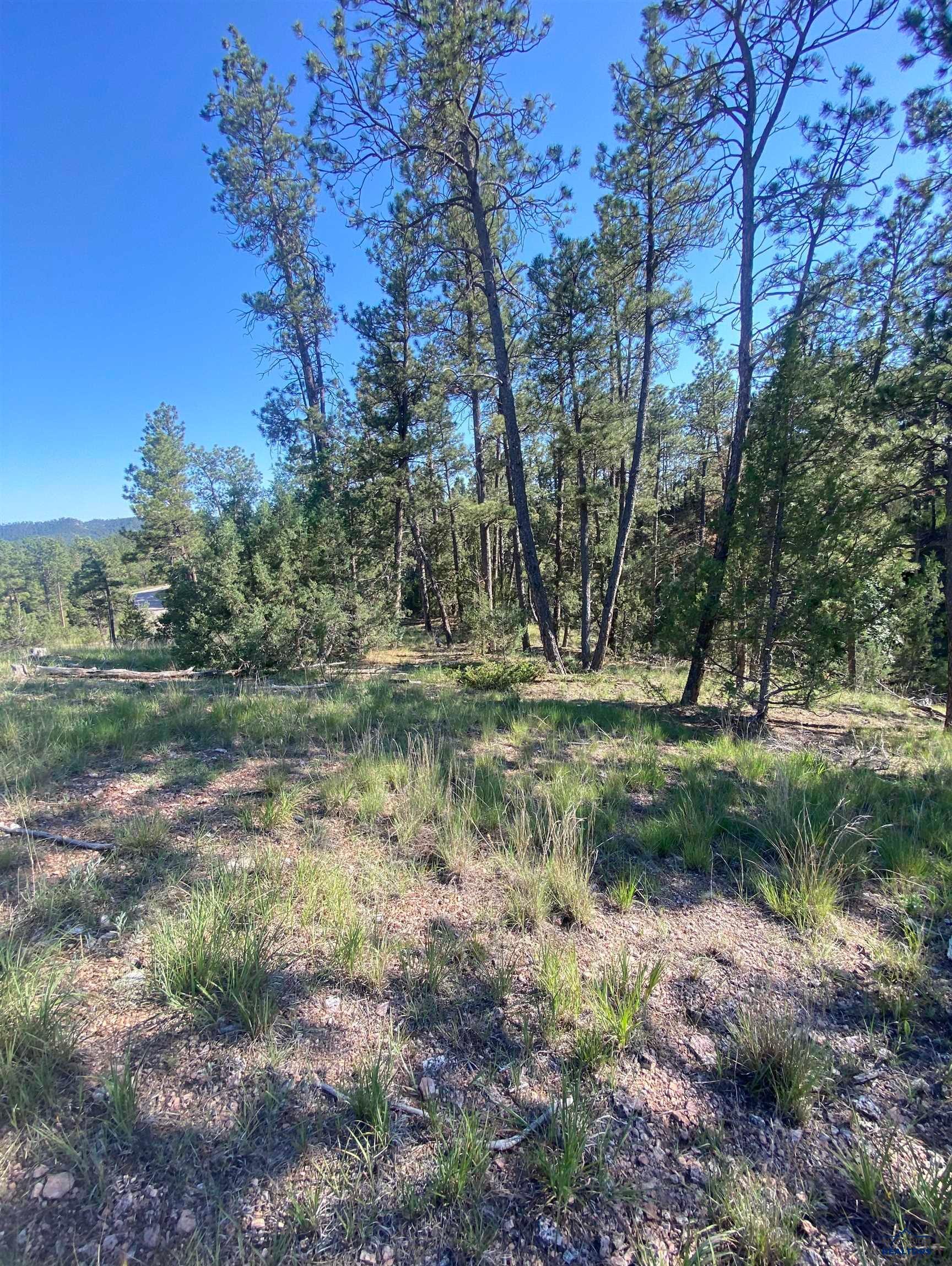Photo 1 of 11 — lot GC-57 SANDPIPER DR, Hot Springs, SD 57745