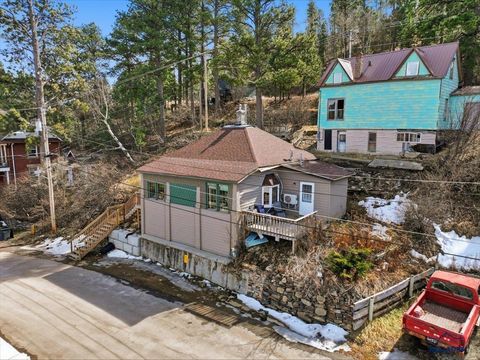 201 MCCLELLAN Lead SD 57754