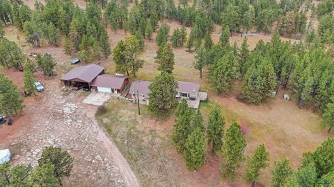 13056 LINCOLN TARKEN LN Piedmont SD 57702