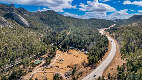 12149 UPPER ELK PARK RD Custer SD 57730