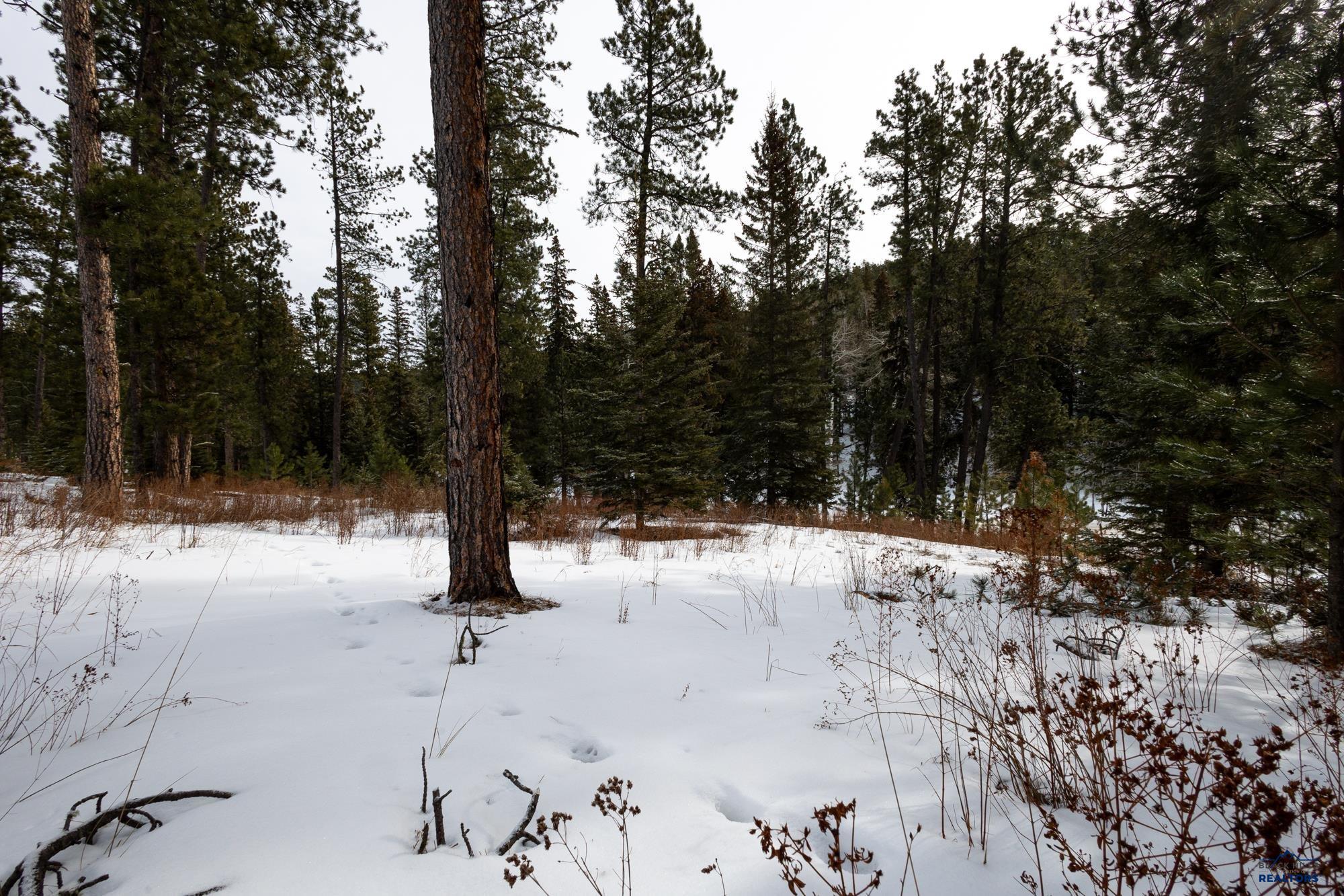 Lot 14 Block 3 OTHER