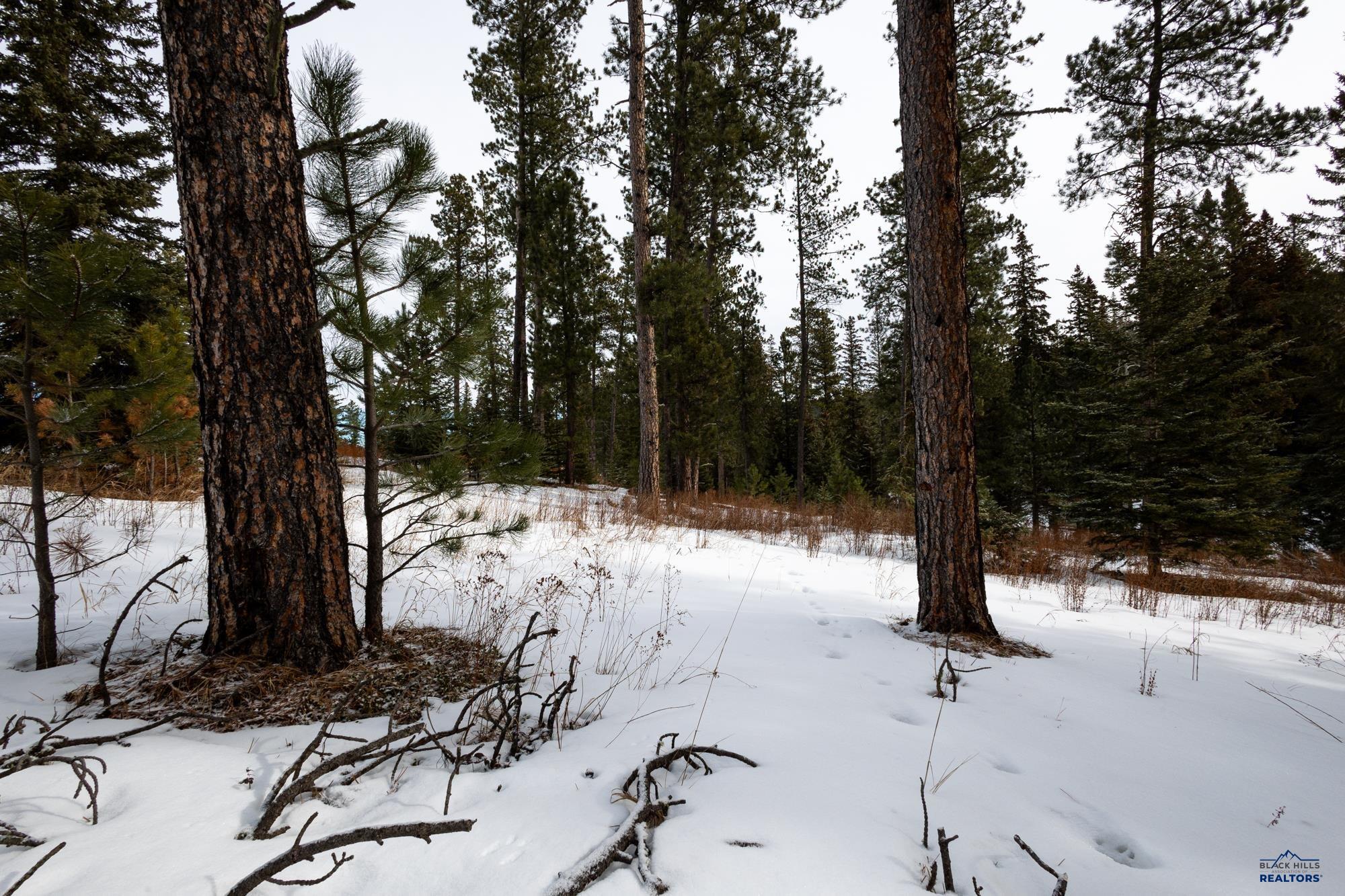 Lot 14 Block 3 OTHER