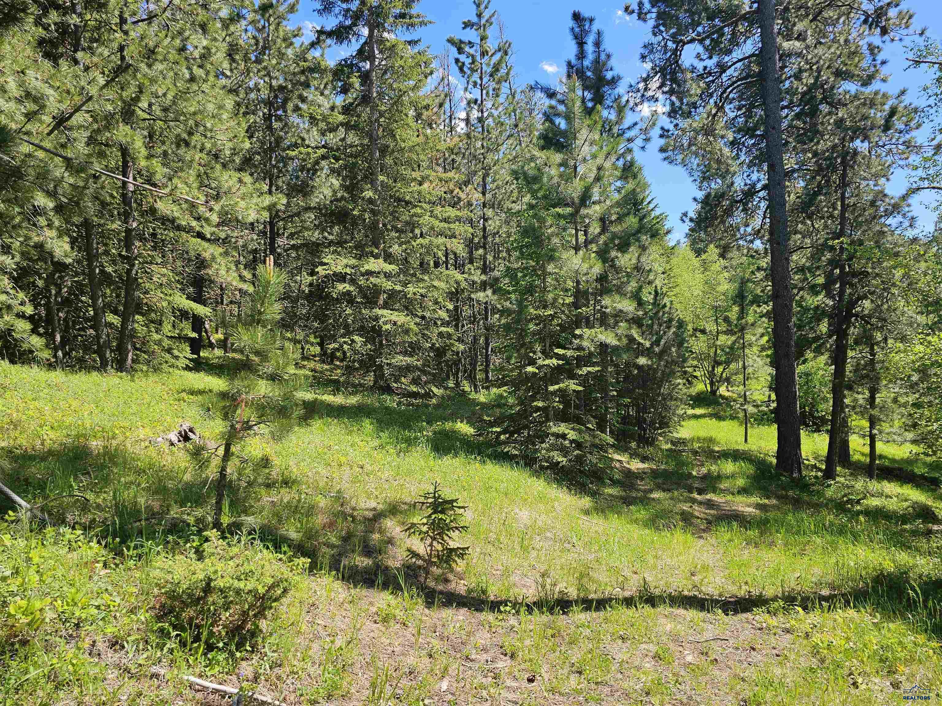 TBD TERRY PEAK SUMMIT RD