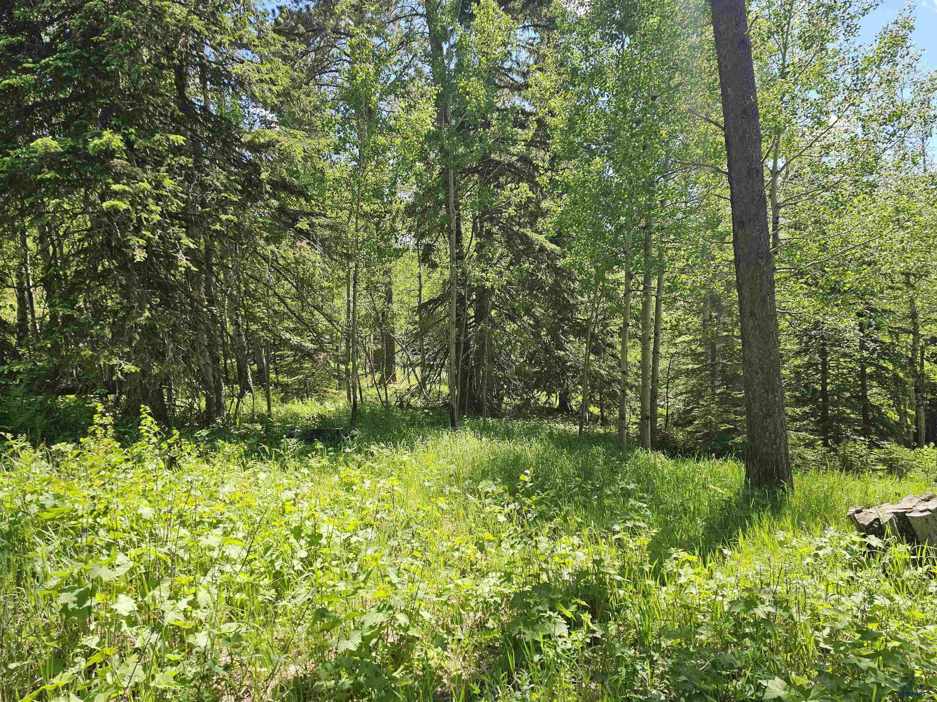 TBD TERRY PEAK SUMMIT RD
