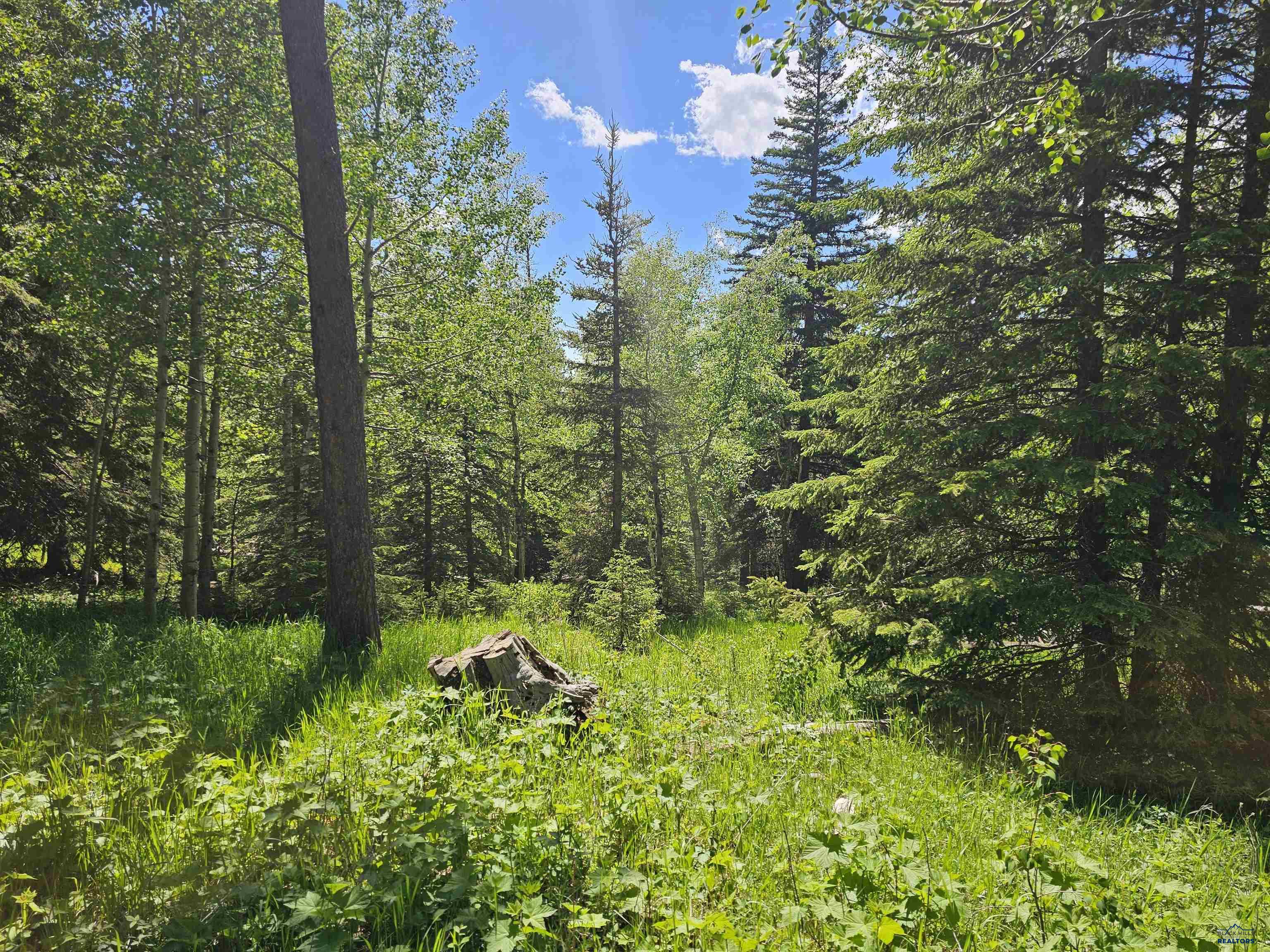 TBD TERRY PEAK SUMMIT RD
