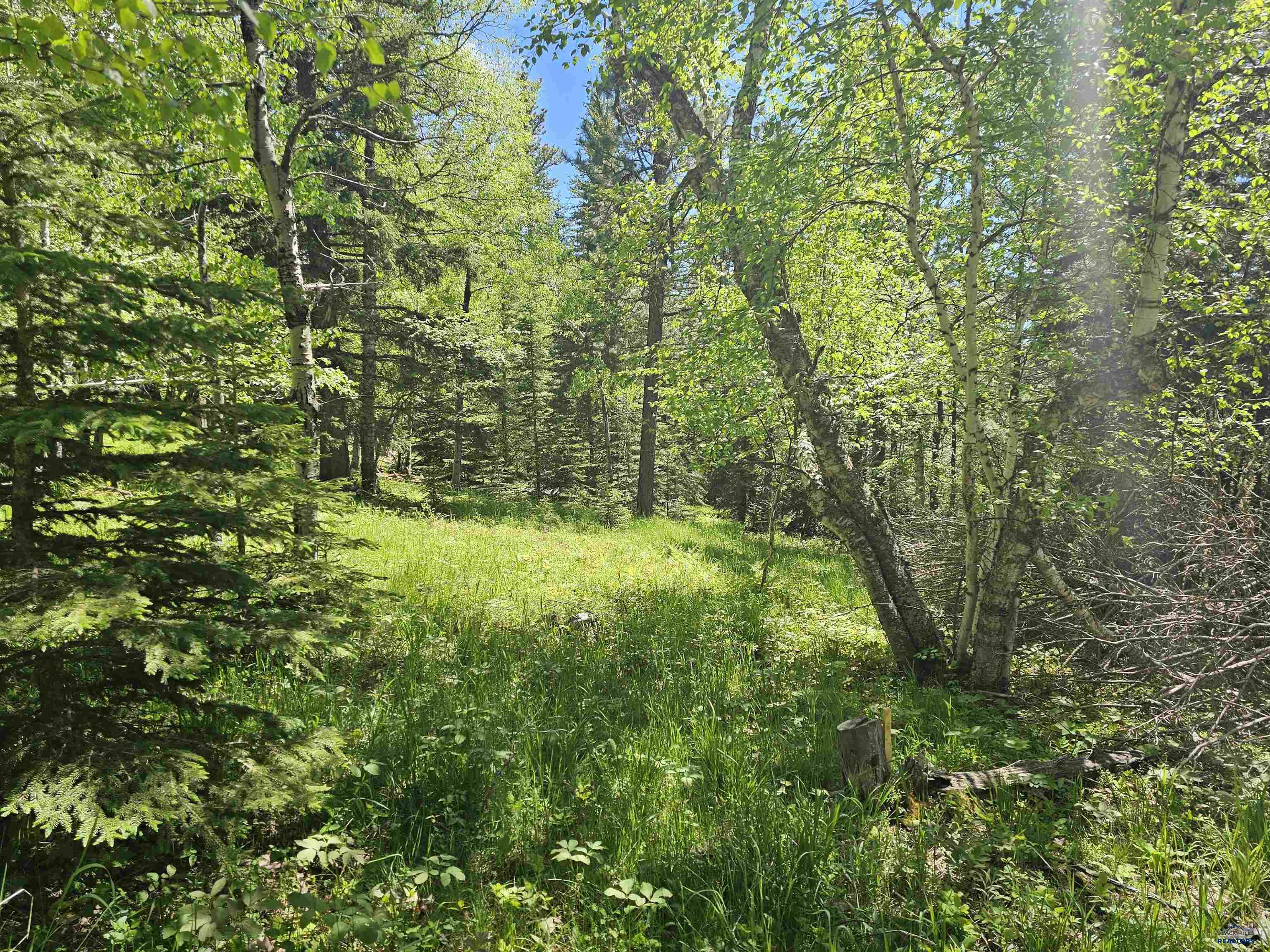 TBD TERRY PEAK SUMMIT RD