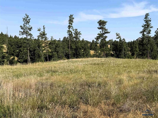 78 SOARING EAGLE RD, HULETT, WY 82720 - Image b77fcdc7a0f4e4f542e8d51c3d394af1/1376863346