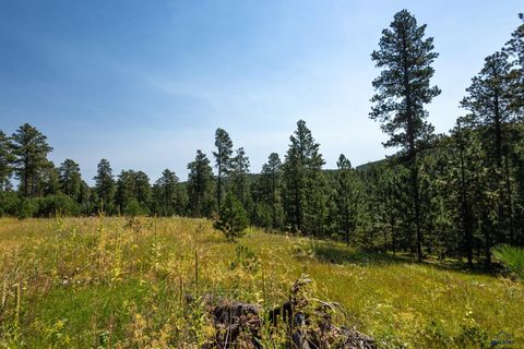 Tract 3 MAGPIE RD Lead SD 57754