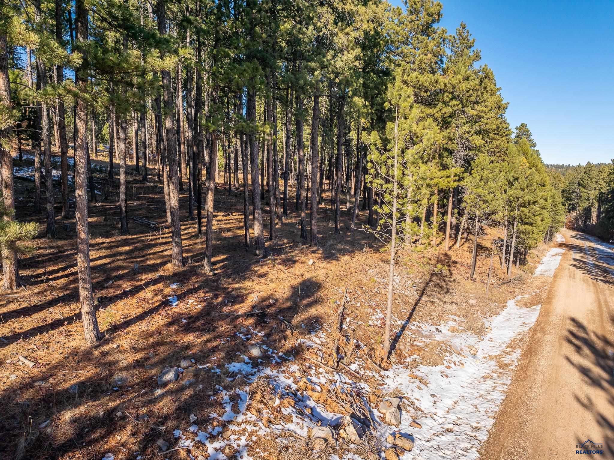 Sturgis, South Dakota 57785, United States, ,Land,Active,24380