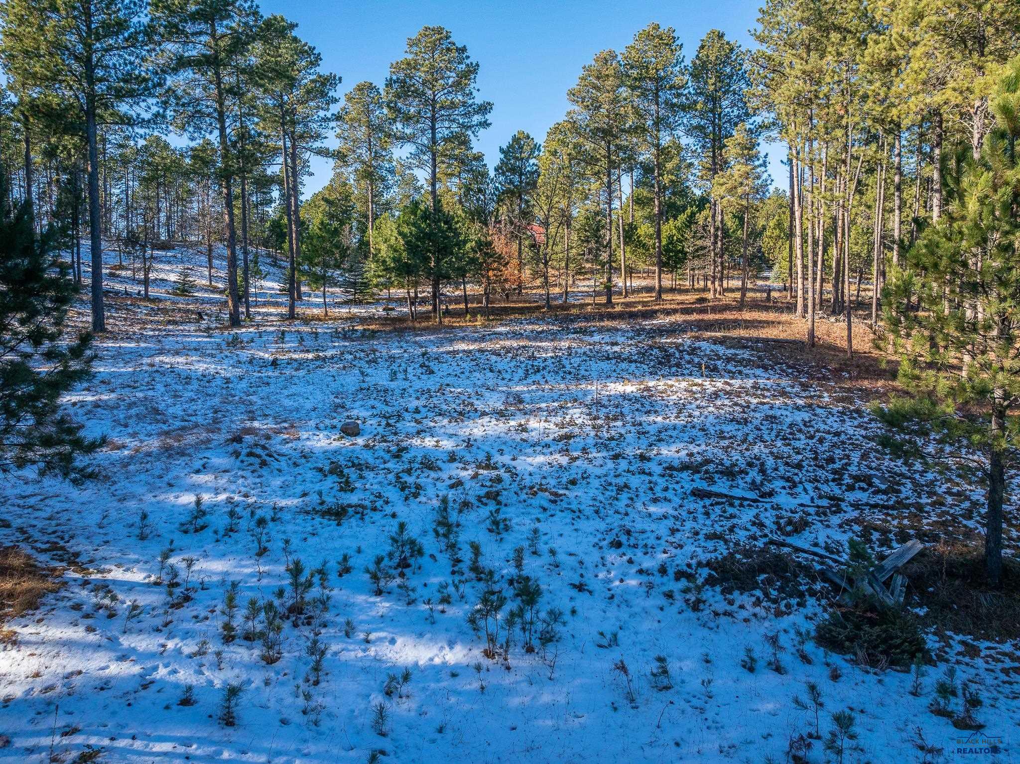 Sturgis, South Dakota 57785, United States, ,Land,Active,24380