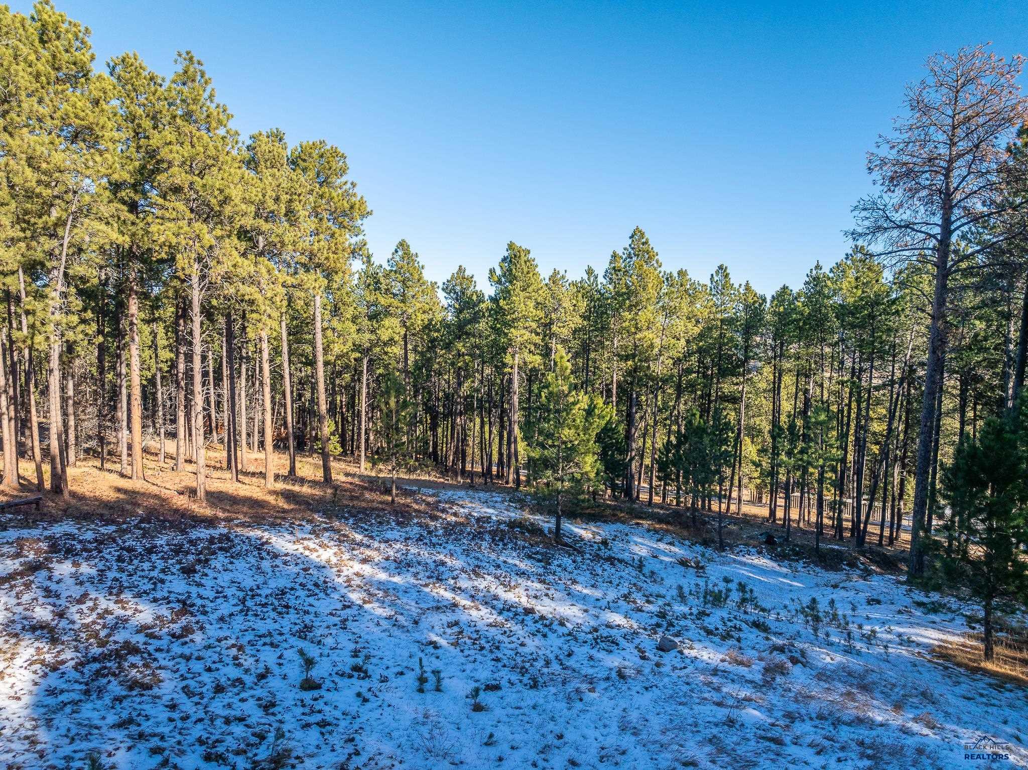 Sturgis, South Dakota 57785, United States, ,Land,Active,24380