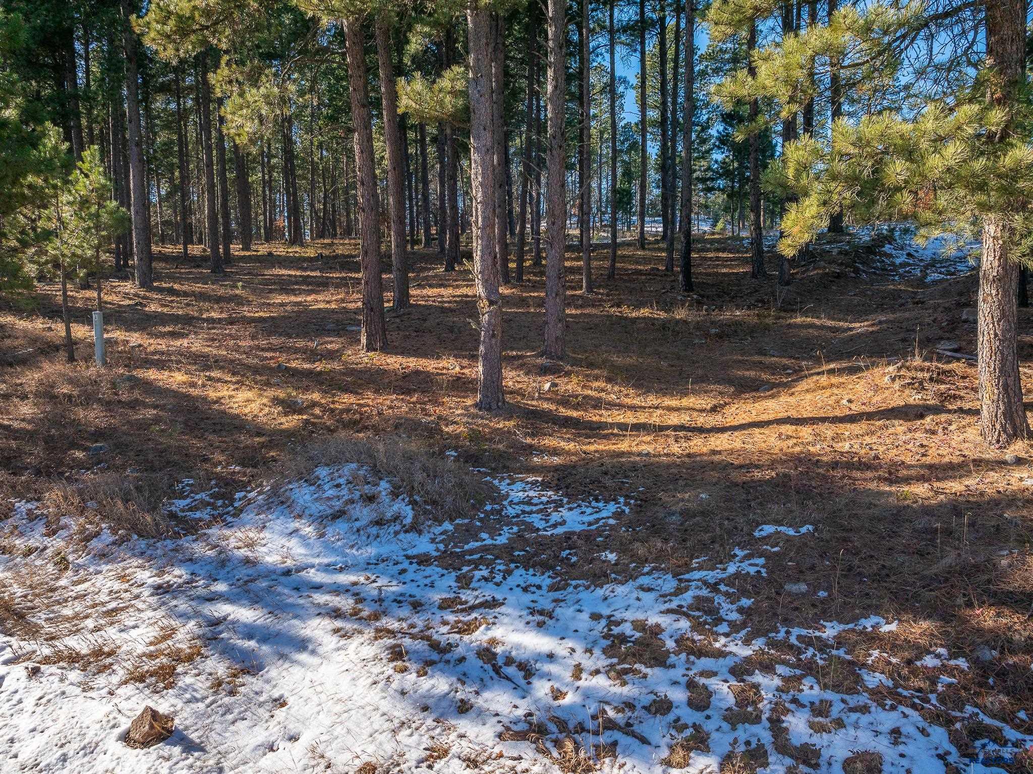Sturgis, South Dakota 57785, United States, ,Land,Active,24380