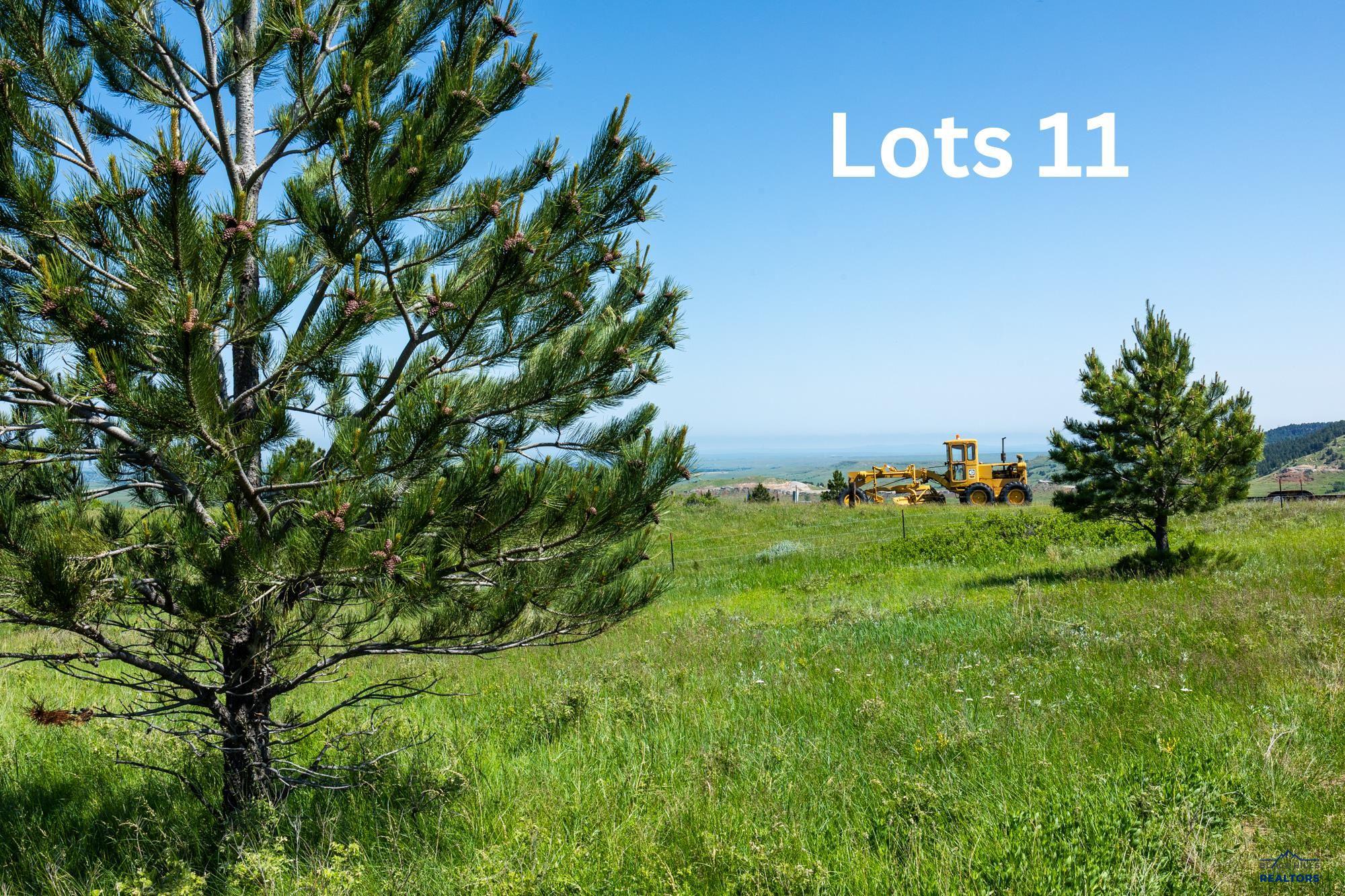 Tract 11C LOOKOUT VISTA RD