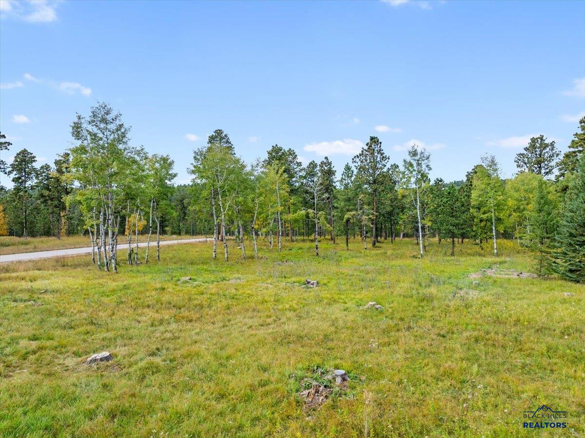 Lot 4 OTHER