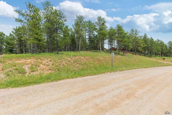 BORGLUM RD, KEYSTONE, SD 57751 - Image c779c175d7a52c2bd2aec150a2e2fef8/3103837620