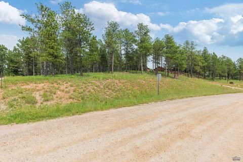 TBD BORGLUM RD Keystone SD 57751