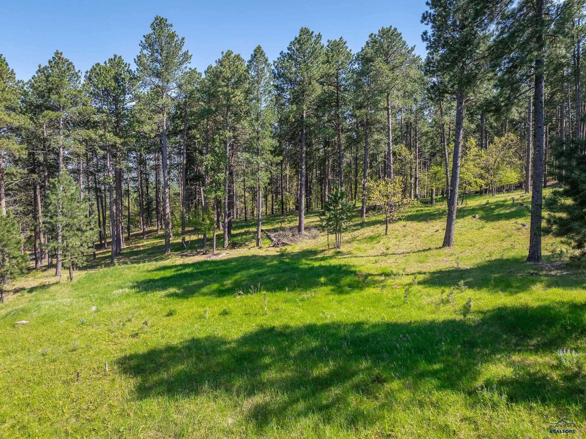 Sturgis, South Dakota 57785, United States, ,Land,Active,103810