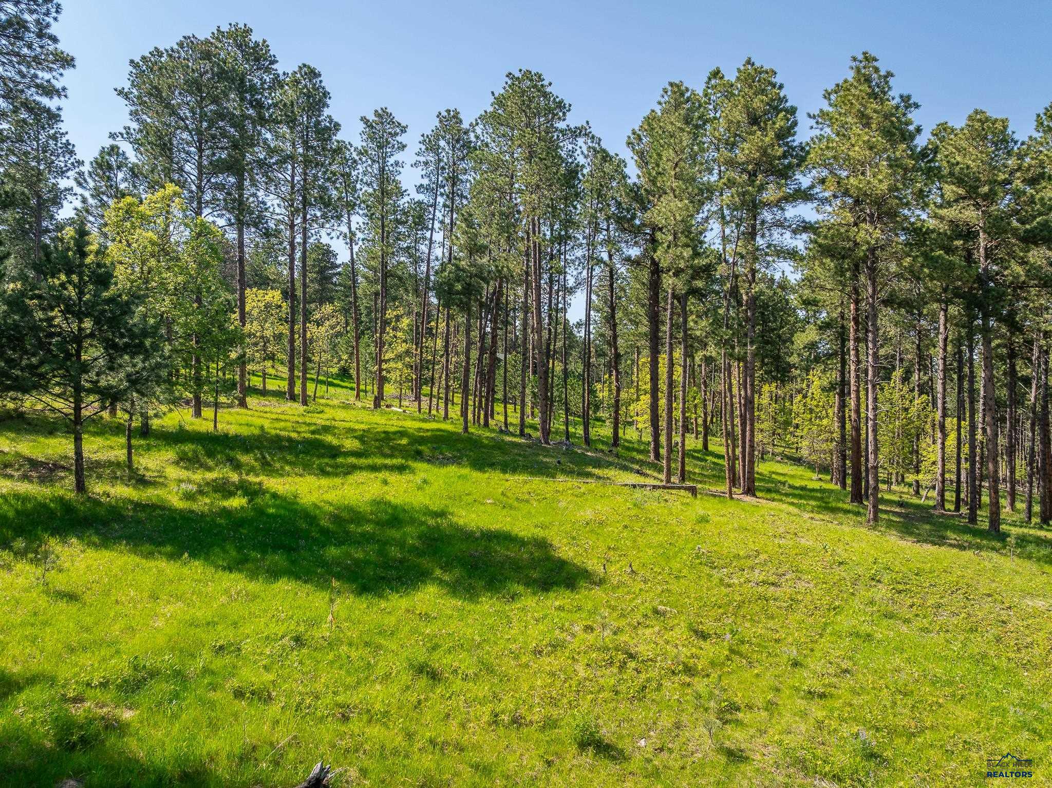 Sturgis, South Dakota 57785, United States, ,Land,Active,103810